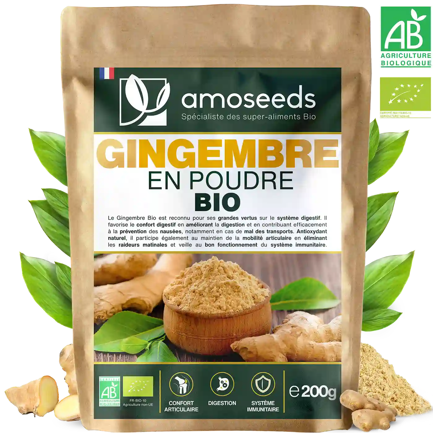 Gingembre Bio en poudre - AMOSEEDS