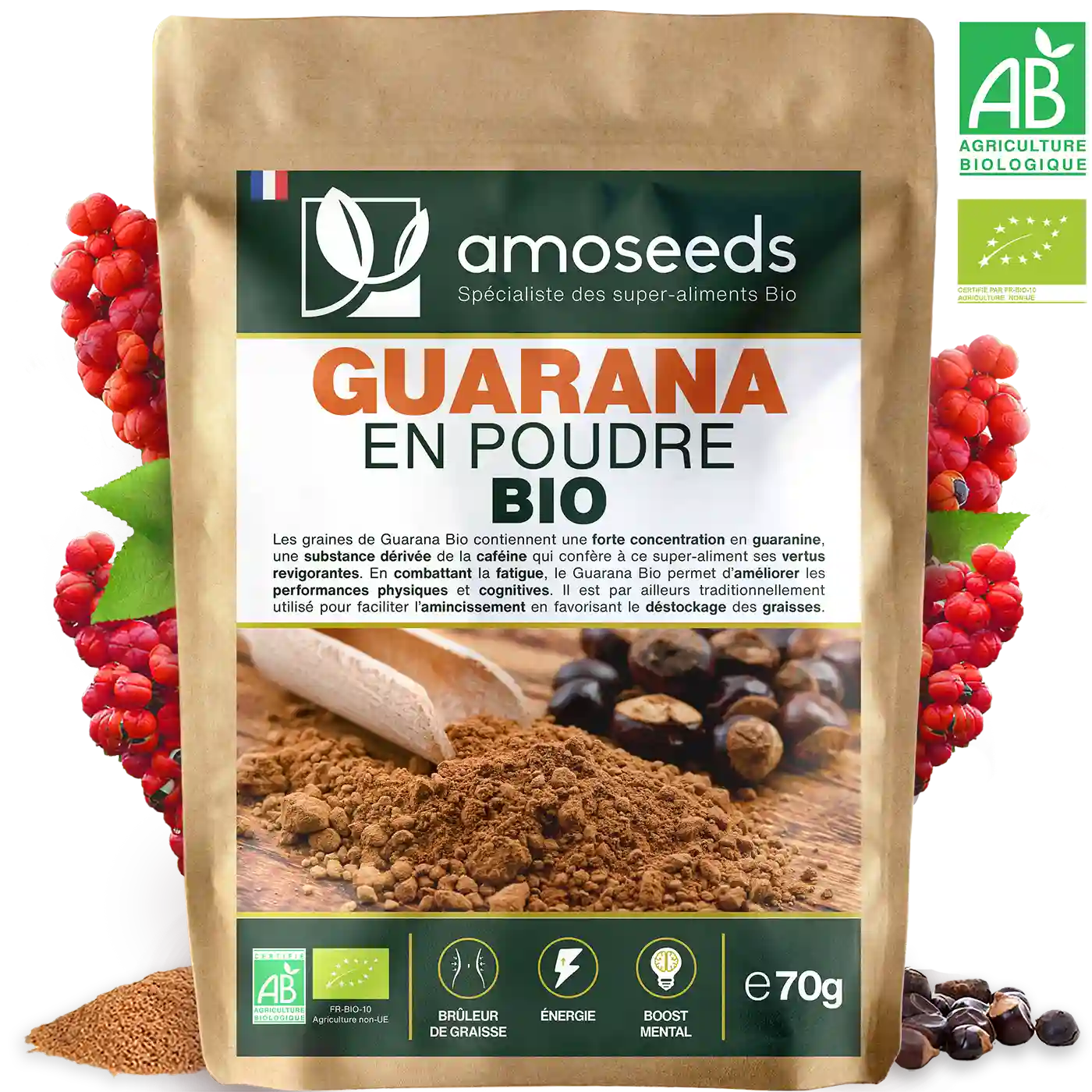 Guarana Bio en poudre - AMOSEEDS